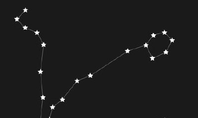 金牛上升射手座女生（金牛上升射手女解析）