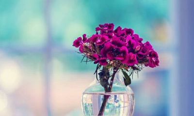 优质个性签名干净八字（八字个签简单气质）