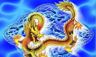 属龙的人属于什么龙（属龙的人命好吗）