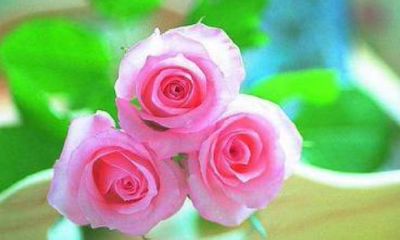 嫁给渣男的女人面相（孕妇可以陪别人去算命的地方吗）