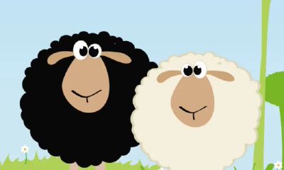 2023年生羊肖运势（2023年属羊人的财运）