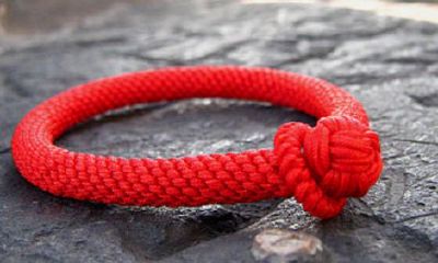 本命年感恩的话（星盘土象重的长相）