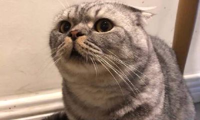 白羊座第一天和天蝎座最后一天（最后一天出生的天蝎座）