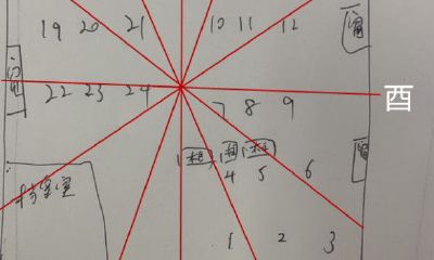 属猪的办公室坐什么方位好（属猪女的办公室位置坐向）