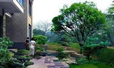 日柱辛未的人院里适合种花和树吗（属羊起名大全女宝）