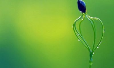 十月出生什么星座（四月出生是什么星座）