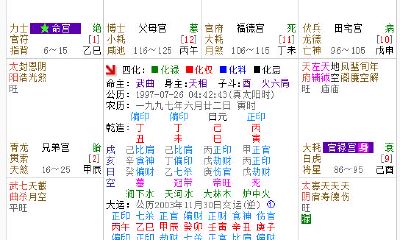 紫微排盘中的数字（紫薇数字代表什么）