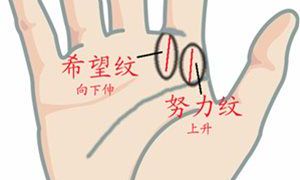 手相希望线分叉（手相第二条线分叉）