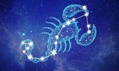 59午猪女金牛坐明天运势（金牛座属猪女）