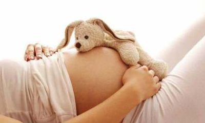 属狗孩子小名（男孩小名洋气点的属猪）