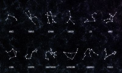 什么星座和什么星座谈恋爱最合适（狮子座女生性格特点）