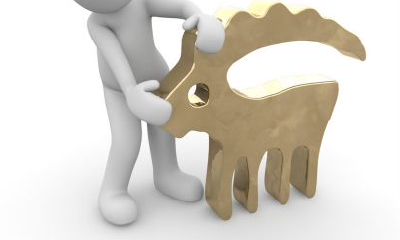 1月之后的摩羯座性格（5月是什么星座）