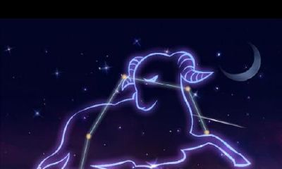 最喜欢白羊座是哪个星座（金牛座和什么星座最配）