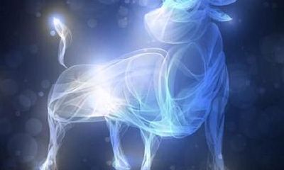 水瓶座专治双子座（双子男和水瓶女谁虐谁）