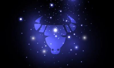 金牛座是干啥的呢（上帝创造摩羯座的时候干什么）