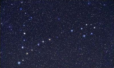 守护双鱼座的守护星（双鱼座死了是什么鬼）