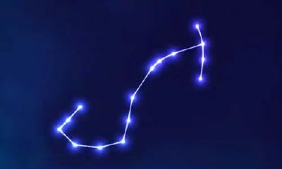 天蝎座男一生最怕什么星座女（摩羯座和什么座最配）