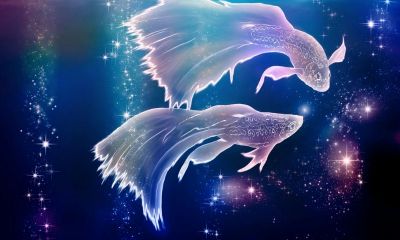 3月15日双鱼座性格特点（4月15日是什么星座）