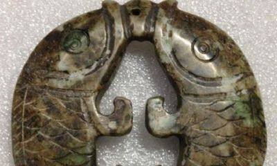 彭加木双鱼玉佩之谜（彭加木与双鱼玉佩有什么关系）