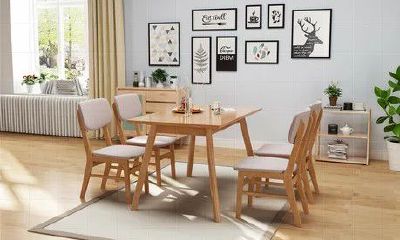 餐厅养什么花比较招财（店里适合养什么花聚财）