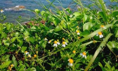 梦到开车撞了别人的车子（梦见第一次开车把别人车撞了）