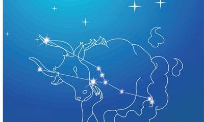 怎么追金牛座的女孩（怎么才能追到金牛座的女生）