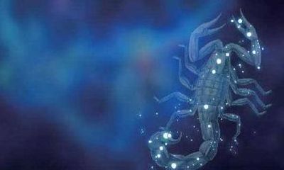 如何吸引天蝎座前任（天蝎座留着前任的联系方式）