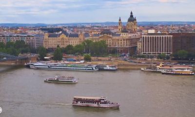 鸡年犯太岁的生肖有哪些（属鸡的今年犯小人吗）