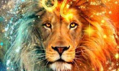 双子座男2023感情能复合吗（双子座男感情性格特点）