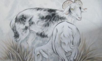 属鼠的哪一年的（属鸡是哪年出生的）