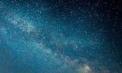 射手座女不爱的表现（射手座女反感你的表现）