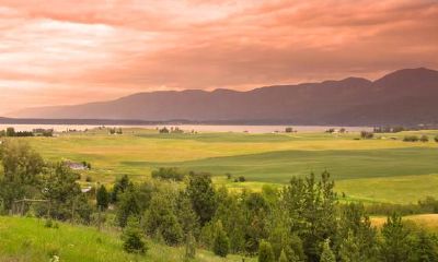 八字事业运2023（生辰八字算事业和财运）