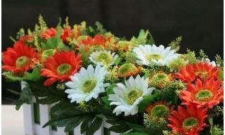 假花其实不影响风水（假花放哪里不影响风水）