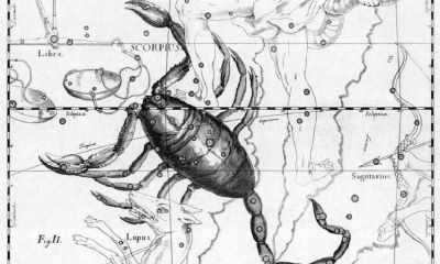 天蝎座自己都不了解自己（感觉自己不像天蝎座）