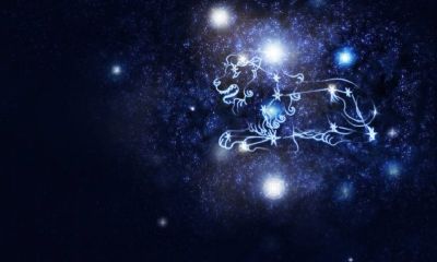 星座月份表是按农历算的吗（6月份是什么星座）