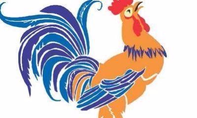 属鸡人的晚年怎么样（1969年属鸡的人怎么样）