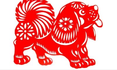 2023年属狗1994（1994年属狗哪年结婚好）