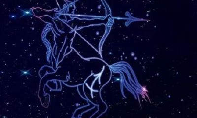 金牛和处女座配对（金牛的配对星座是什么）