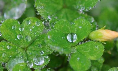 给孩子起名根据什么（给孩子取名要注意些什么）