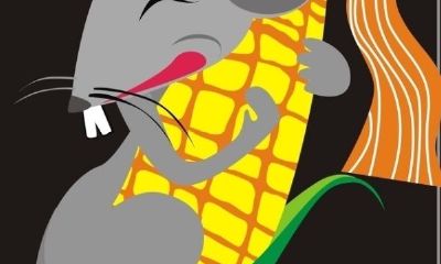 大运胎好还是养好（人一生中走什么大运最好）