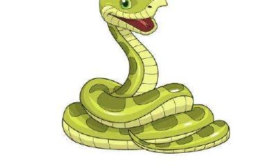 属蛇男聪明吗（属蛇的男人人品怎样）