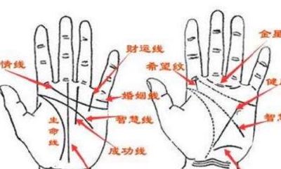 星字纹手相虎口处（手相叉纹好不好）