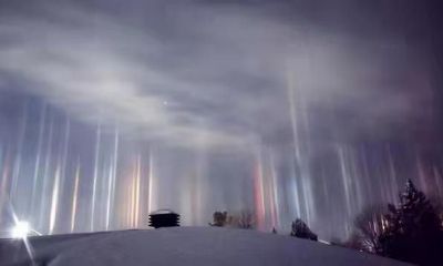 东北地区出现日柱现象（东北地区为什么出现日柱现象）