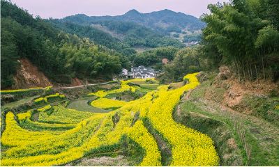 只有中国人信风水吗（为什么中国人信风水）