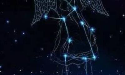 处女座是几日生的（天秤座是几月几日生）