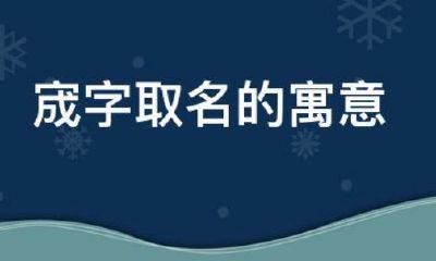 宬字取名寓意（洆字取名寓意及含义）