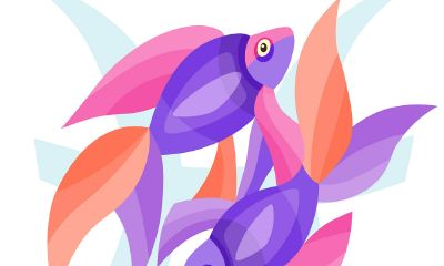 怎么跟双鱼座的女生聊天（双鱼女开始动情的细节）