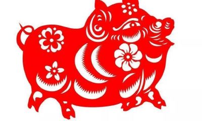 甜妻太太太旺夫（类似旺夫命的甜宠种田）