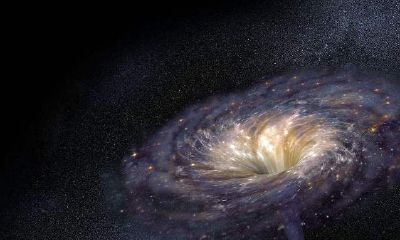 属马的人喜欢什么礼物（属马的喜欢什么样的女人）