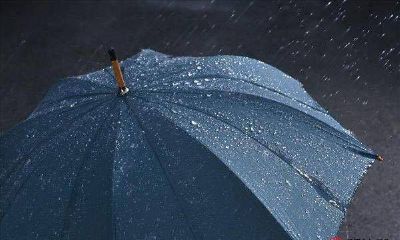 伞的风水讲究（雨伞放在家里什么位置风水好）